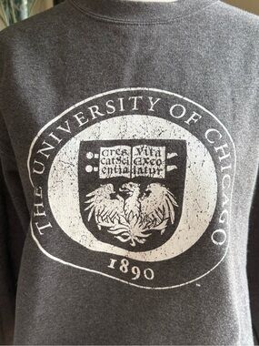 Champion Gray Logo Crewneck Sweatshirt with Small Embroidered C Patch